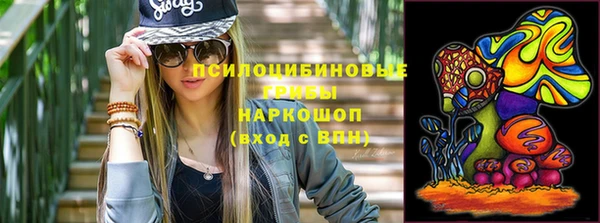 сатива Алексеевка